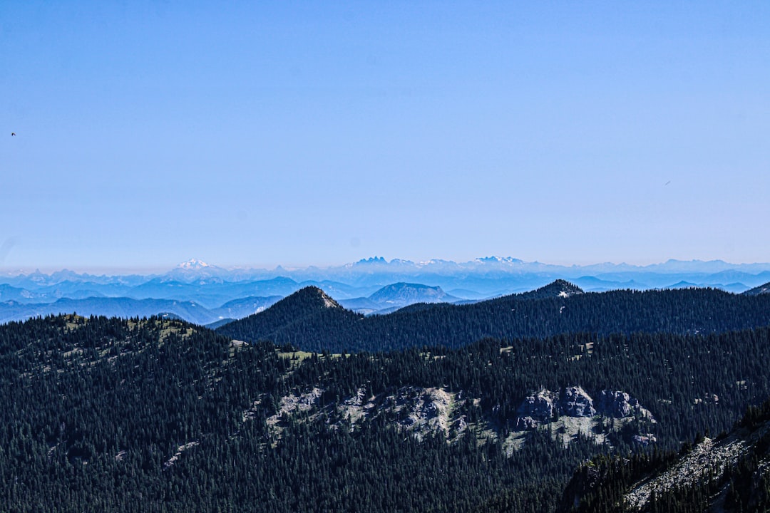 Welcome to Mineral Point Homeowners Association!